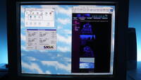 Twin Razorback page on Windows for Workgroups 3.11 at 1600x1200